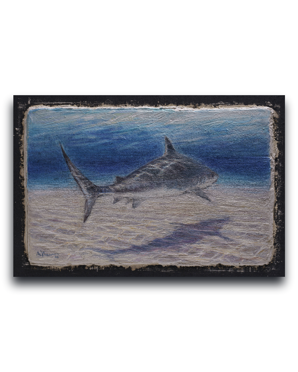 Shark – Fine Art Wall Print | Buon Fresco Photography | Limited 500/500