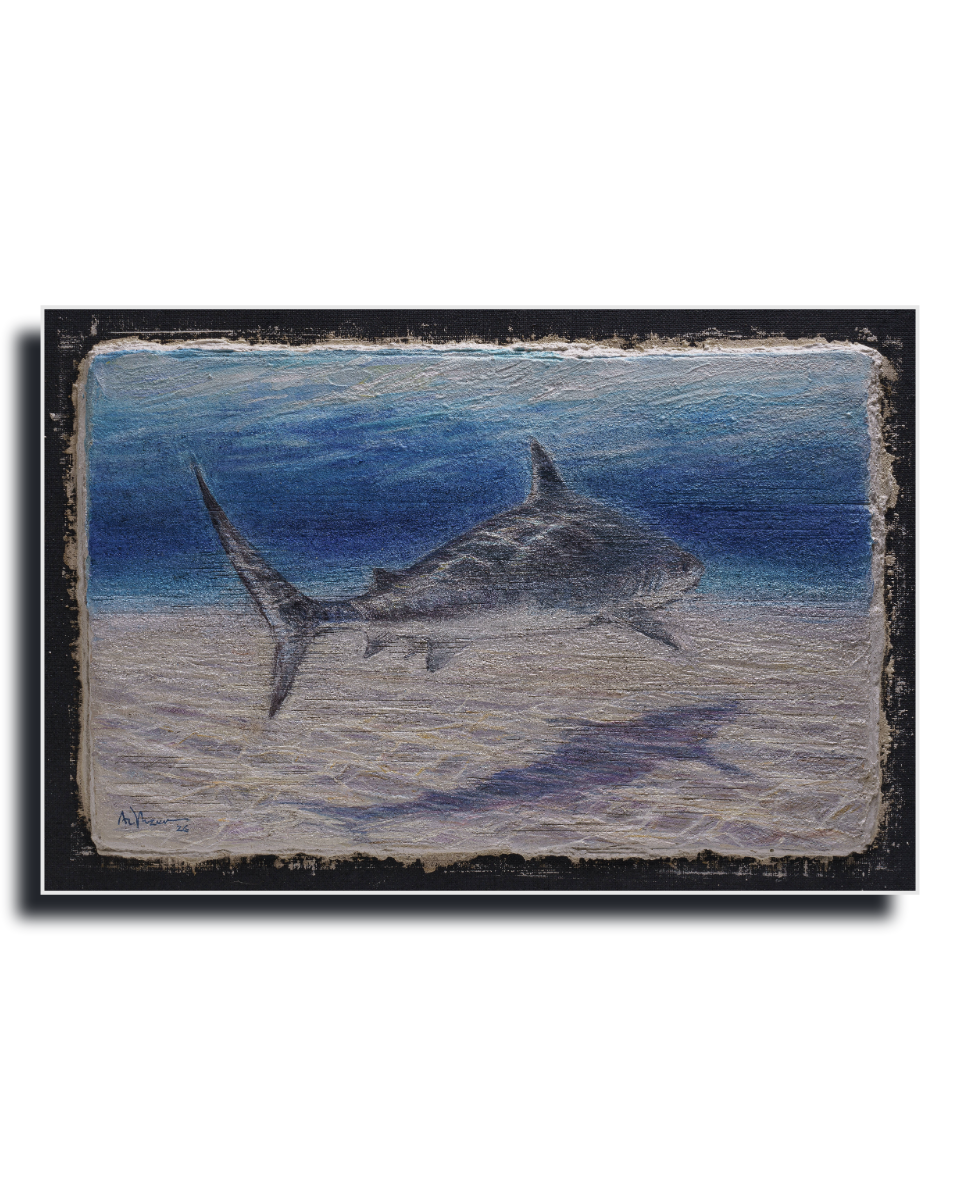 Shark – Fine Art Wall Print | Buon Fresco Photography | Limited 500/500