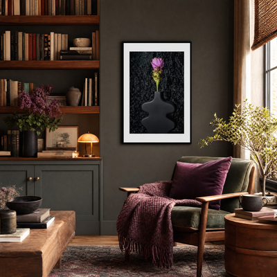Siam Tulip ~ Fine Art Photography by Ivo Titzin ~ Gito Limited Edition Collectable Wall Art 