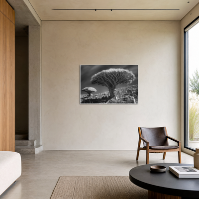 Gito.Art - Exclusive Art Print - Photography by Delyan Markov
A black and white wall art print depicting a dramatic stone tree landscape, displayed on a beige wall in a modern minimalist living room setting.