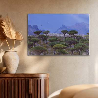 Gito.Art - Exclusive Art Print - Photography by Delyan Markov
A framed landscape art print depicting green dragon blood trees in a desert landscape under a blue sky, displayed on a beige wall above a wooden sideboard with a vase.