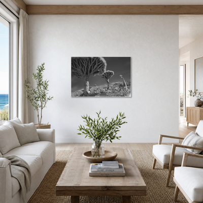 Gito.Art - Exclusive Art Print - Photography by Delyan Markov
A black and white wall art print depicting a desert landscape with two distinctive bottle trees, displayed in a modern, bright living room setting.