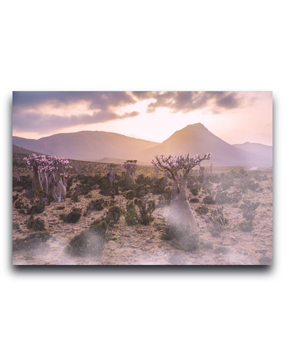 Gito.Art - Exclusive Art Print - Photography by Delyan Markov
A rectangular wall art print showing a desert landscape with desert trees, mountains, and a glowing sunset sky, displayed against a plain white background.
