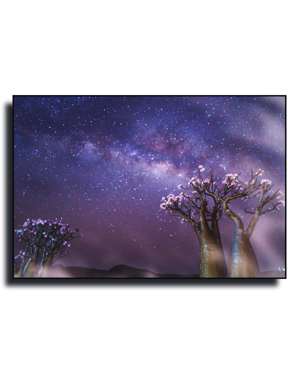 Gito.Art - Exclusive Art Print - Photography by Delyan Markov
A framed wall art print depicting a starry night sky with the Milky Way in purple and blue tones, alongside two flowering trees and dark hills in the foreground, shown against a plain white background.