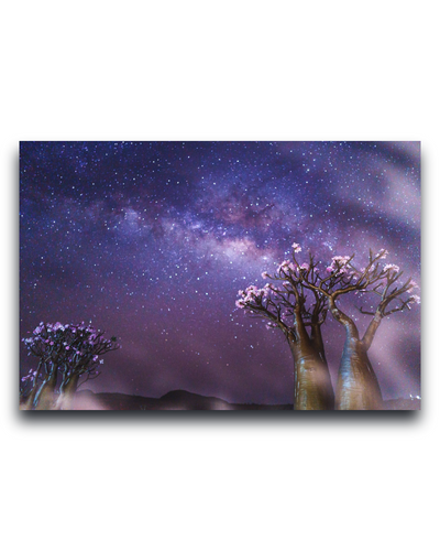 Gito.Art - Exclusive Art Print - Photography by Delyan Markov
A rectangular wall art print or canvas showing a starry night sky with purple and blue tones, the Milky Way, and two stylized trees with pale pink blossoms against a white background.