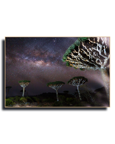 Gito.Art - Exclusive Art Print - Photography by Delyan Markov
A framed photographic print of a starry night sky over a landscape with distinctive tree silhouettes, shown against a plain white background.