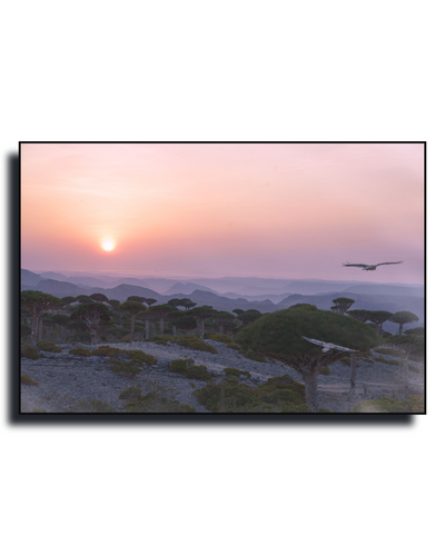 A Framed print photography of Socotra by Dilian Markov - Gito Art Exclusive Photography Print - wall Art _Limited Edition