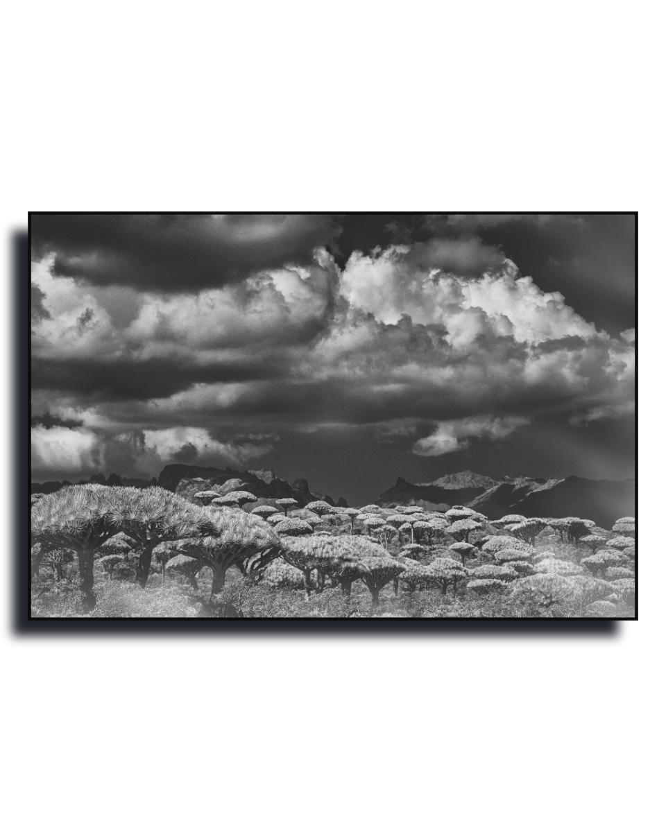 Gito.Art - Exclusive Art Print - Photography by Delyan Markov