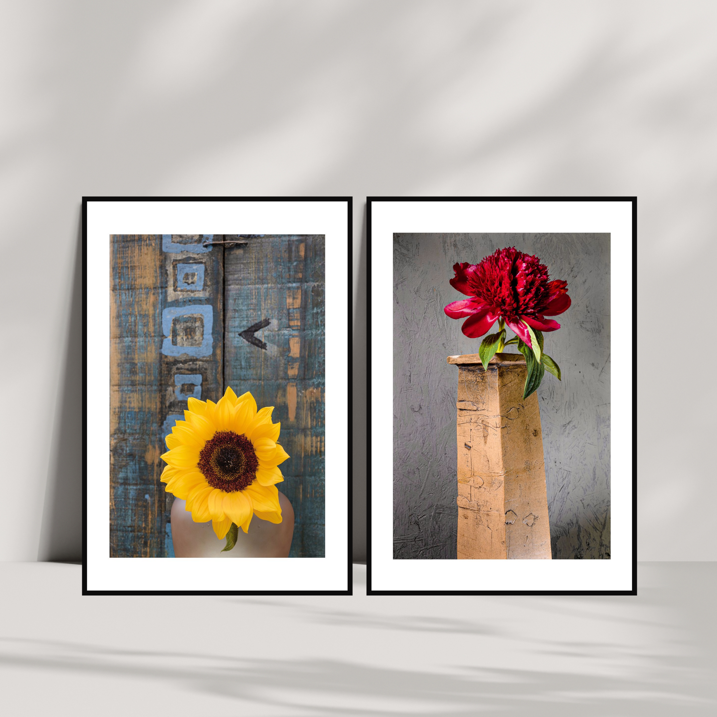 Sunflower - Fine Art Photography by Ivo Tizin - Wall Art - contemporary, minimalistic style - Limited Edition