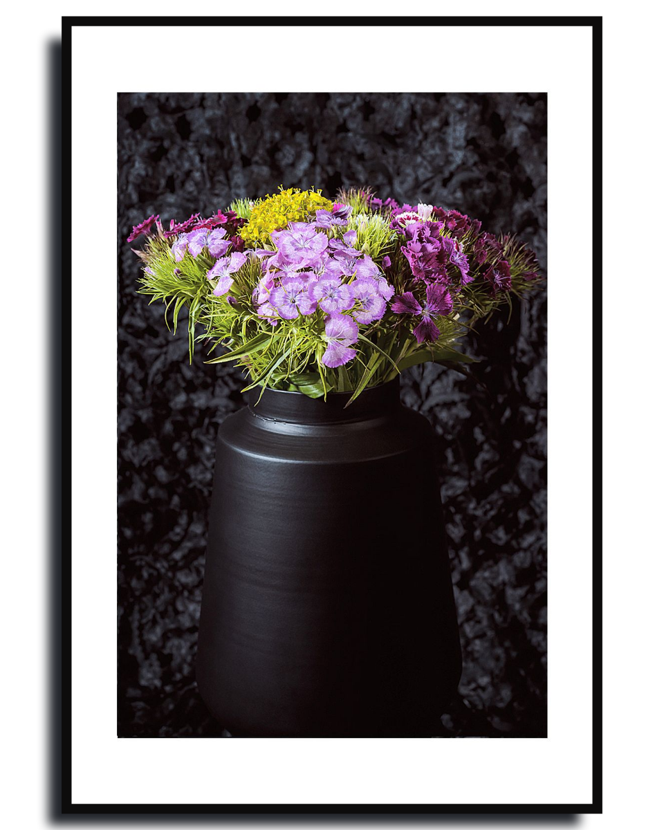 Sweet William Fine Art Photography by Ivo Titzin ~ Gito Limited Wall Art 