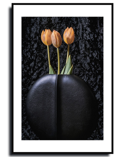 Tulips ~ Fine Art Photography by Ivo Titzin ~ Gito Limited Edition Collectable Wall Art 
