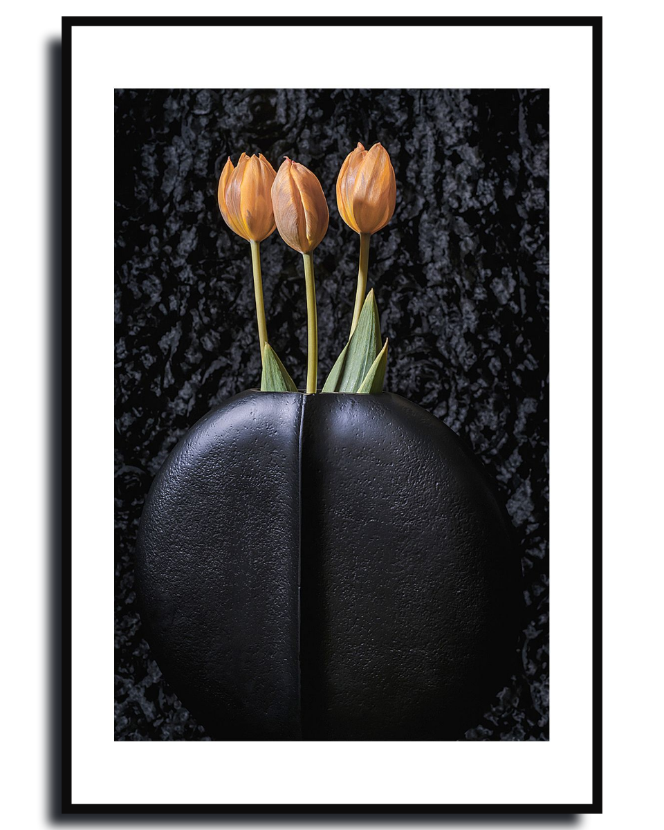 Tulips ~ Fine Art Photography by Ivo Titzin ~ Gito Limited Edition Collectable Wall Art 