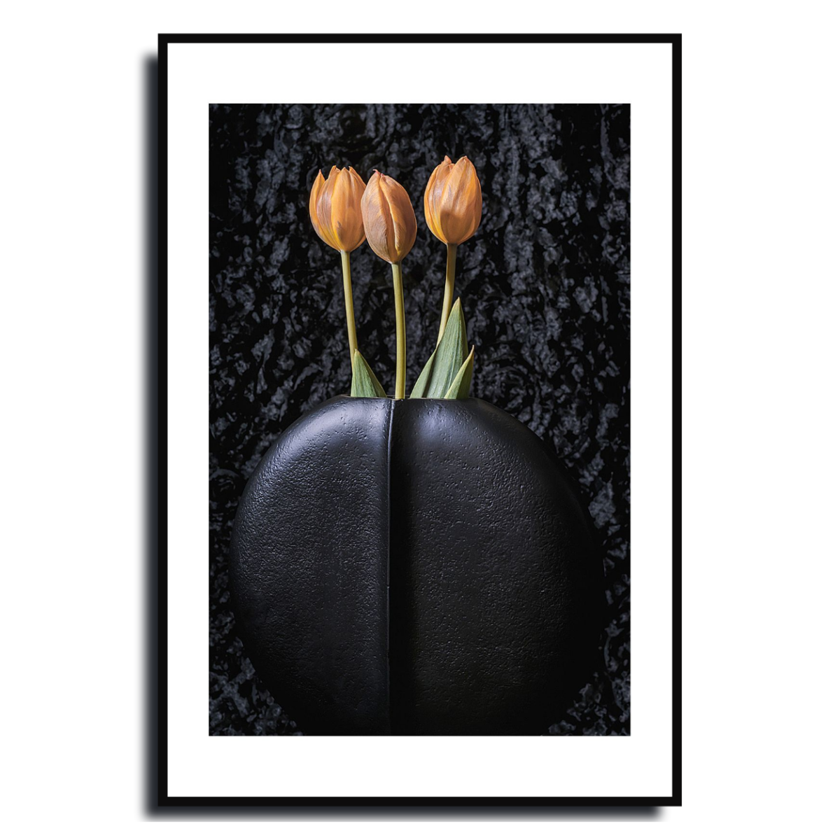 Tulips ~ Fine Art Photography by Ivo Titzin ~ Gito Limited Edition Collectable Wall Art 
