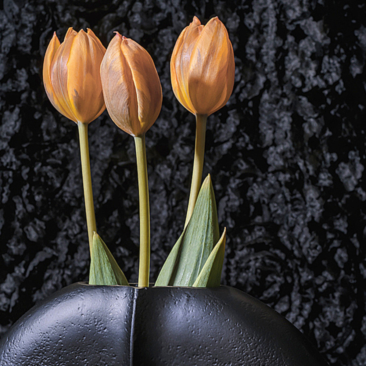 Tulips ~ Fine Art Photography by Ivo Titzin ~ Gito Limited Edition Collectable Wall Art 