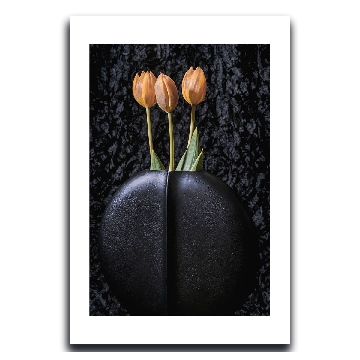 Tulips ~ Fine Art Photography by Ivo Titzin ~ Gito Limited Edition Collectable Wall Art 