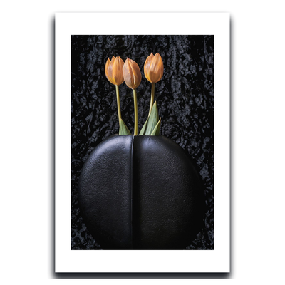 Tulips ~ Fine Art Photography by Ivo Titzin ~ Gito Limited Edition Collectable Wall Art 