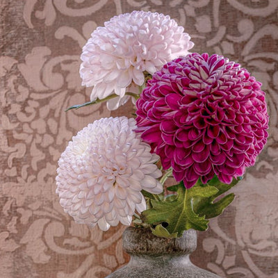 White Chrysanthemum in an aesthetic vase – Fine Art Photography by Ivo Tizin | Wall Art from Gito Art & Decor | Limited Edition
