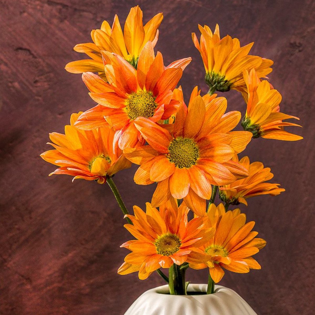 Chrysanths – Fine Art Photography | Wall Art | Limited Edition | Gito Art & Decor | Yellow Flower Bouquet Print