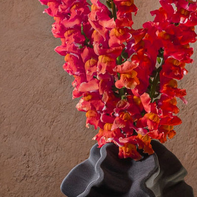 Snapdragons – Fine Art Photography | Wall Art | Limited Edition