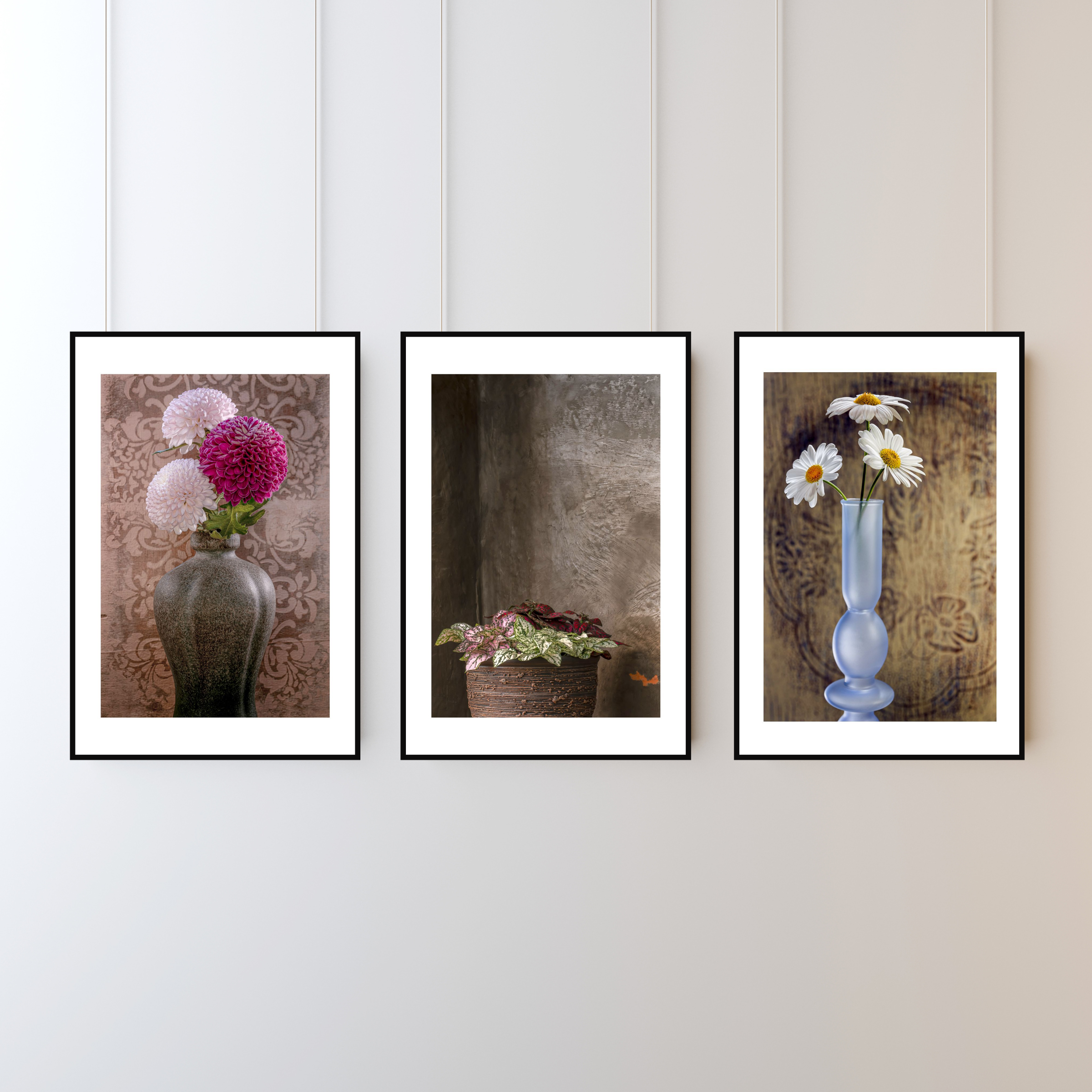 Hypoestes – Fine Art Photography - Wall Art - Limited Edition - Botanical Minimalist Decor
