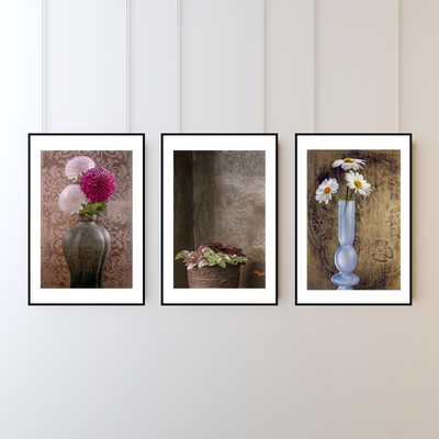 Hypoestes – Fine Art Photography - Wall Art - Limited Edition - Botanical Minimalist Decor