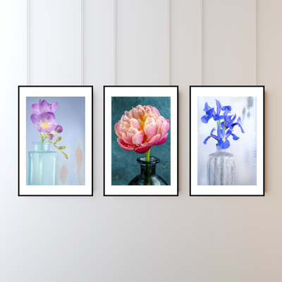 Freesia – Fine Art Photography by Ivo Tizin - Botanical Wall Art - Gito Art and Decor Limited Edition