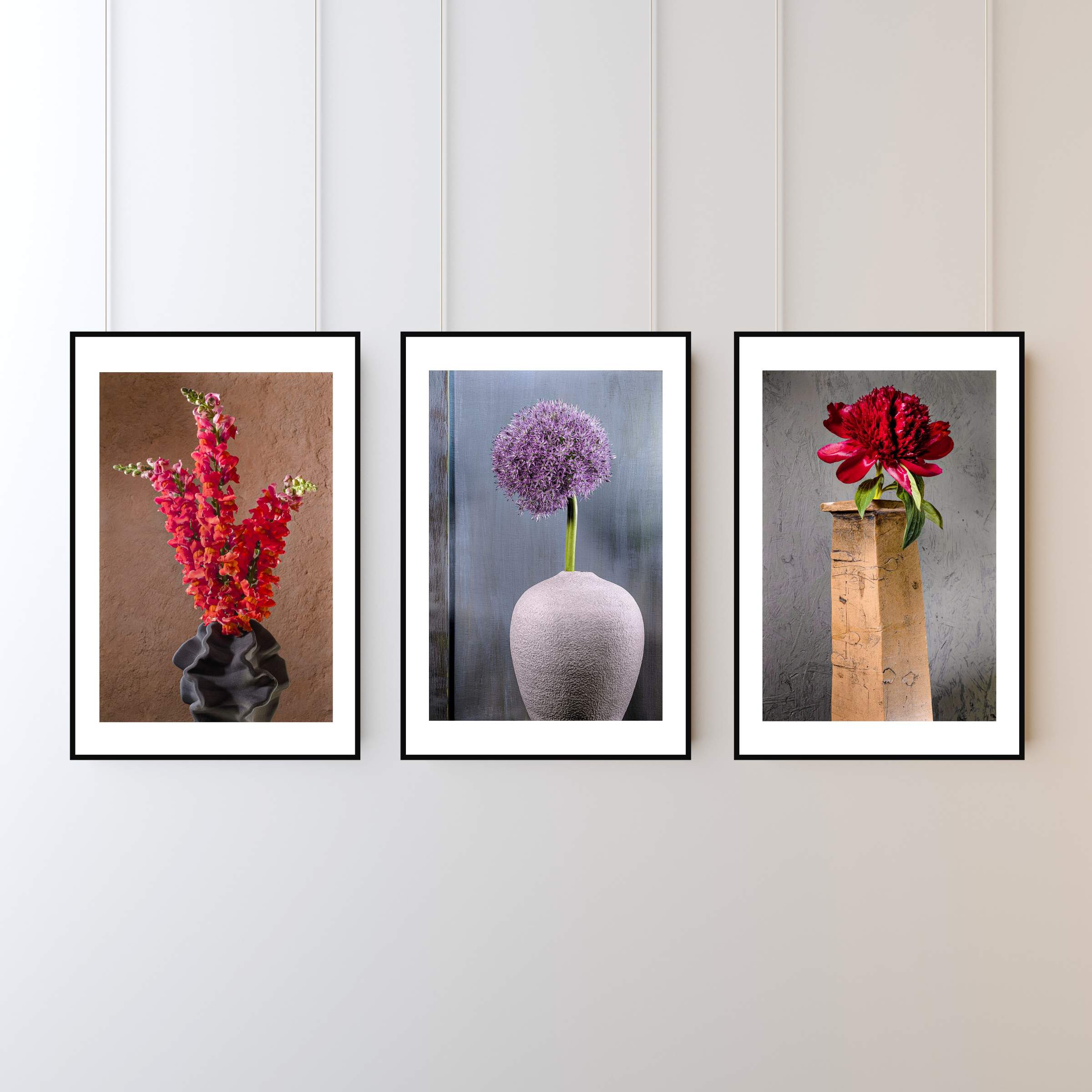 Ornamental Allium – Fine Art Photography by Ivo Tizin - Wall Art - Limited Edition High Quality Print - Black Frame